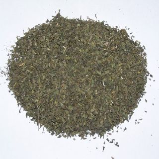 Witch Hazel