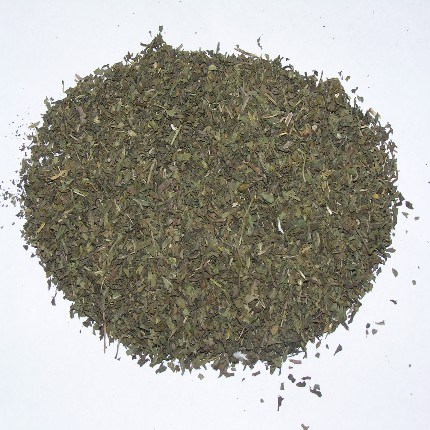 Witch Hazel